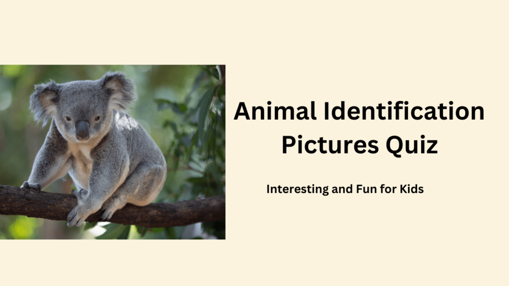 Animal Identification Pictures Quiz: Interesting and Fun for Kids