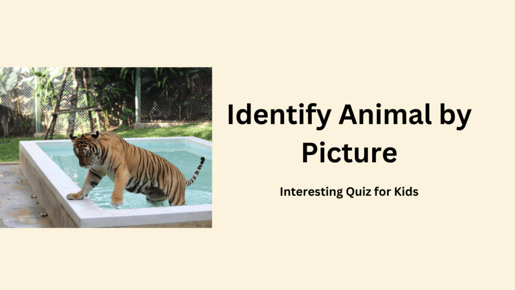 Identify Animal by Picture: Interesting Quiz for Kids